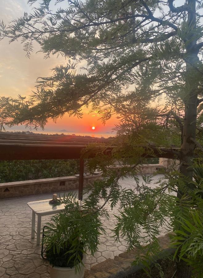 Pistachio Guesthouse, Παραδοσιακός Ξενώνας Vathi  Ngoại thất bức ảnh